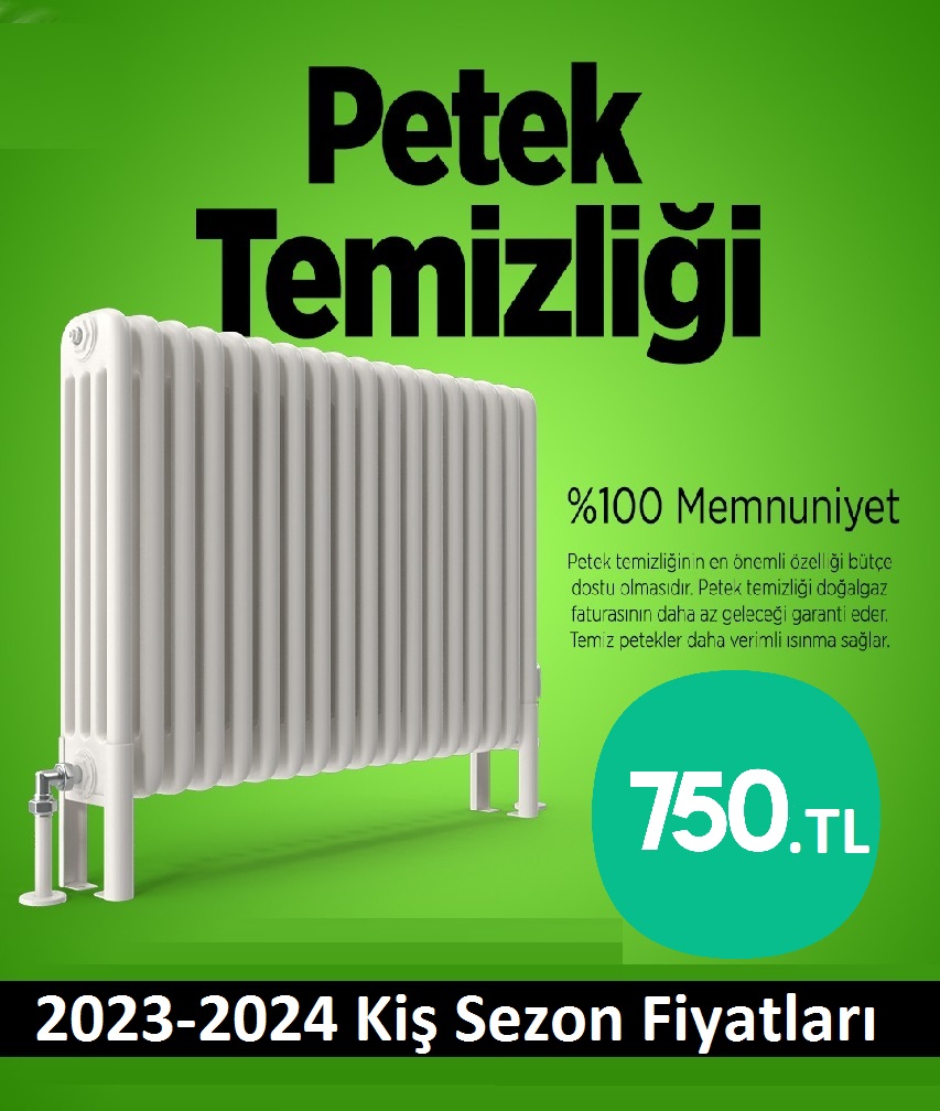 Alemdağ Petek temizleme